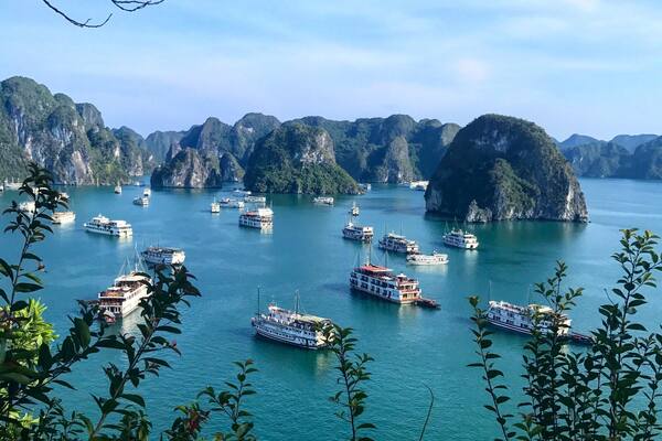 Impressive view from Ti Top island in Ha Long Bay ! Many cruise boats in high season but the landscape is just amazing âą apr 2017 (Vietnam)
