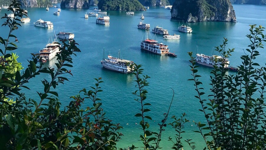 Impressive view from Ti Top island in Ha Long Bay ! Many cruise boats in high season but the landscape is just amazing • apr 2017