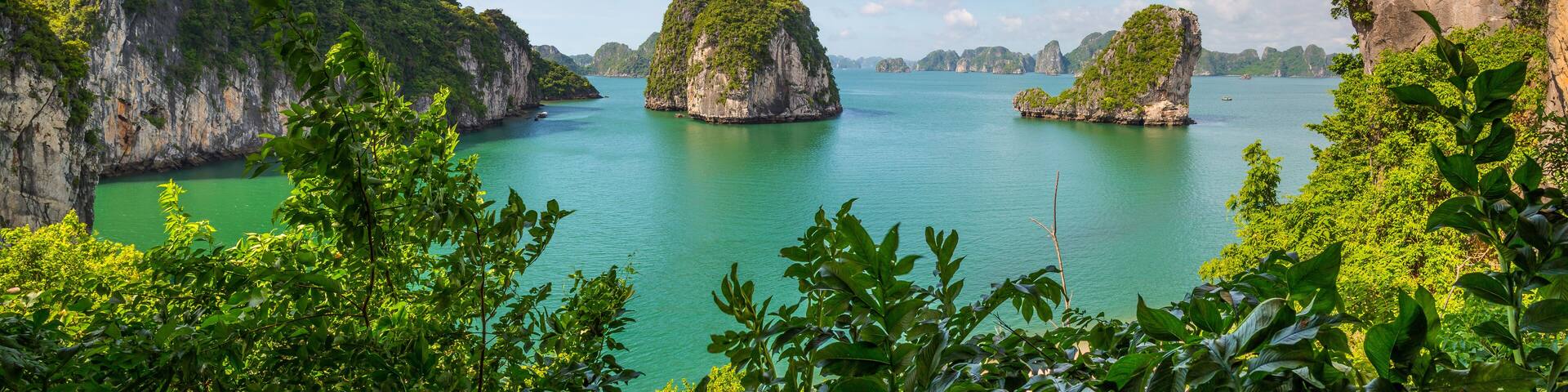 View through tropical foliage to tranquil bay with islands and mountains at Ha Long Bay in Vietnam