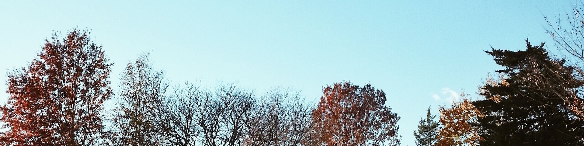 The farm house where Walt Whitman was born. Built by the poet's father in 1816 the house stands on its original foundation and a small patch of what's left of the 60acres that made up the property. Take a tour and visit the museum in the building next door. #roadtrip #museum #poets