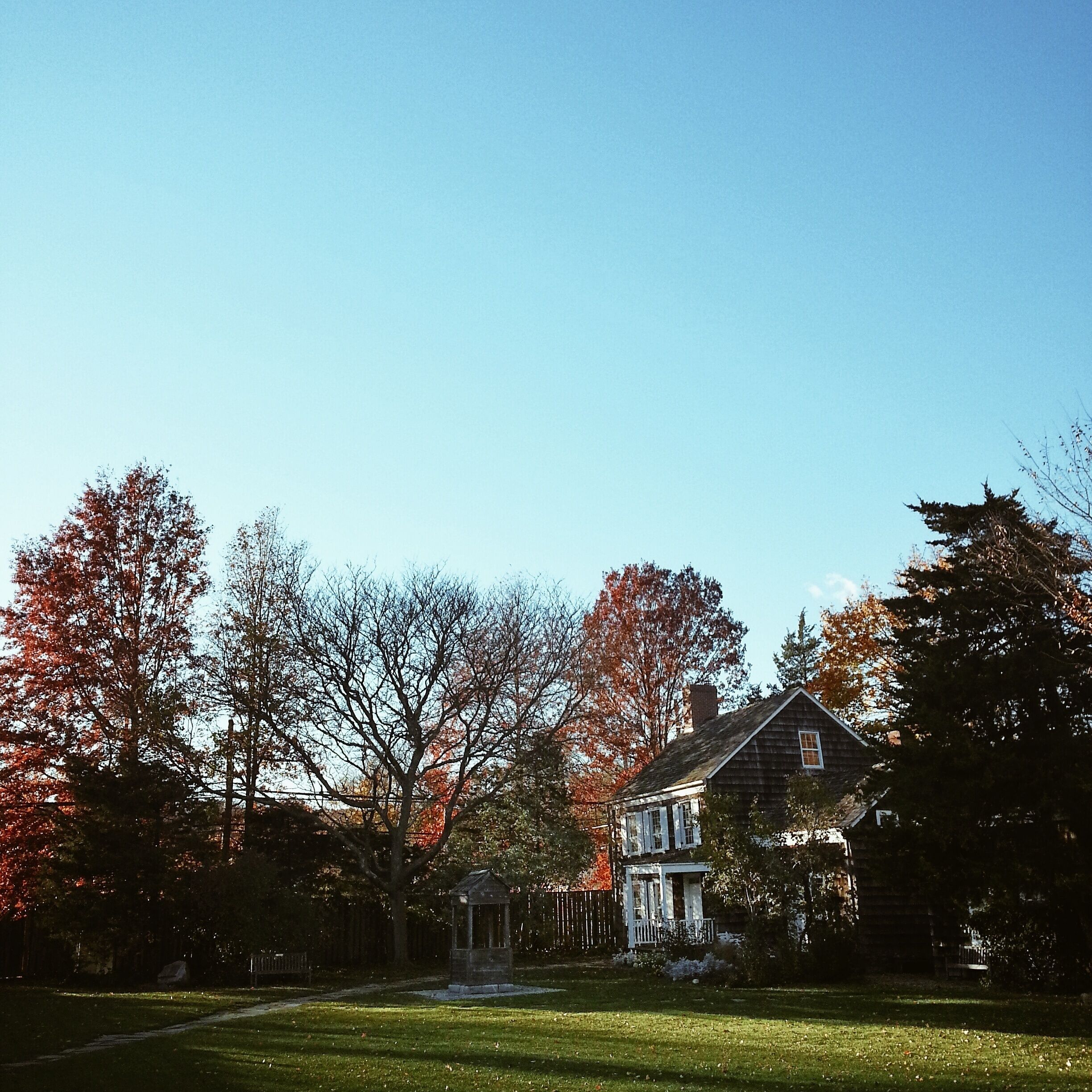 A house surrounded by trees with autumn leaves.
