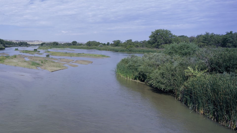 A river with patches of exposed soil, surrounded by dense greenery and trees.