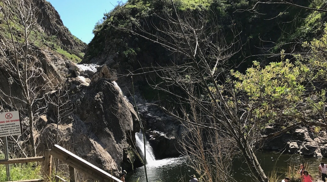 "Paradise Falls drops 40 feet into a large pool along the Arroyo Conejo in Thousand Oaks. The waterfall is located within Wildwood Park, and thanks to an almost excessive network of trails, Paradise Falls may be reached via several routes, including a 2.15-mile out and back hike or a 2.55-mile loop that visits a small cave. It is a downhill hike from the trailhead to Paradise Falls with 260 feet of elevation change. Adding a visit to Wildwood Park’s other main attraction, Lizard Rock, is a good way to extend the hike to 4.35 miles or more."
https://www.hikespeak.com/trails/paradise-falls-in-wildwood-park/?view=trail-description #hiking