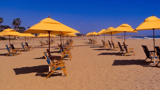 Yellow umbrellas and beach chairs on Ventura beach, California