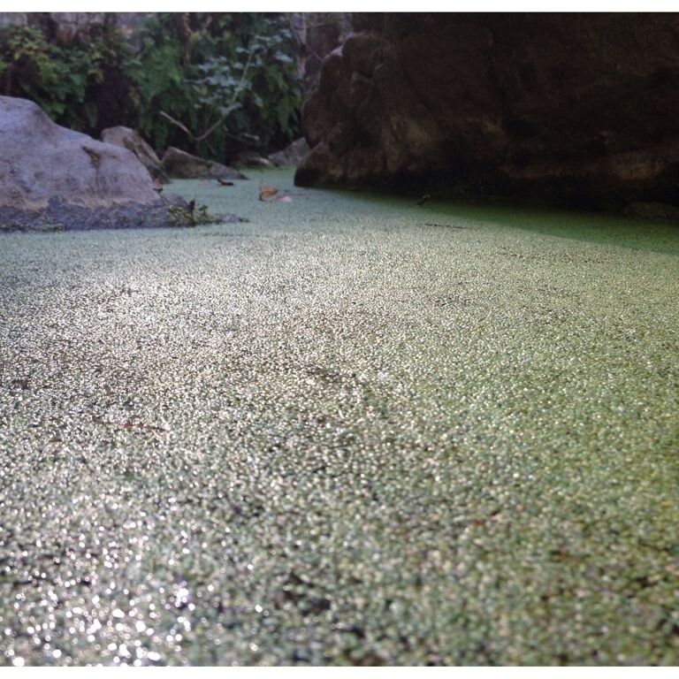 Rancho Sierra Vista / Satwiwa - nice hike to the waterfalls. Can't wait when their is plenty of water.