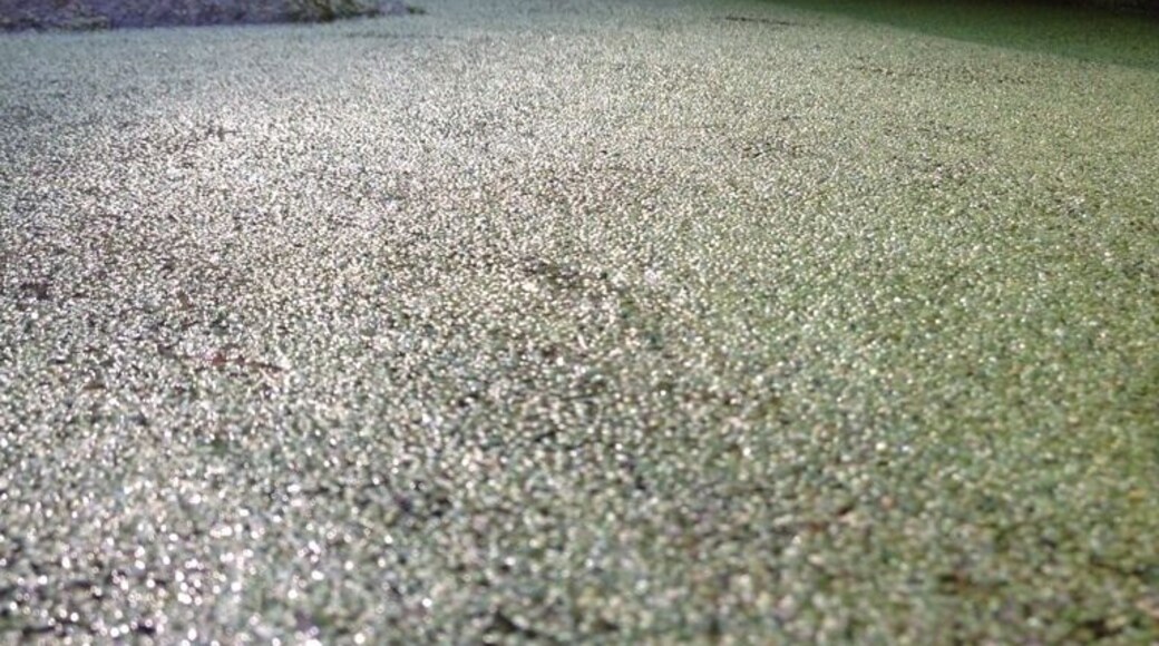 Rancho Sierra Vista / Satwiwa - nice hike to the waterfalls. Can't wait when their is plenty of water.