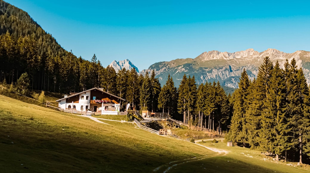 Beautiful alpine summer view at the famous Marienbergbahn Biberwier, Tyrol, Austria