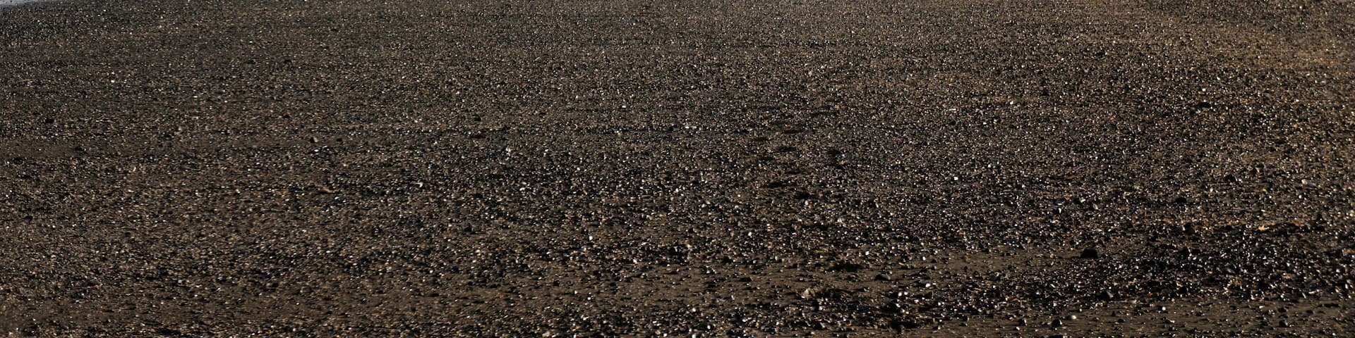 A pebbly beach with people and a dog walking along the shore.