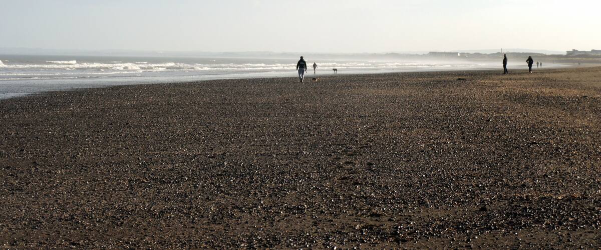 A pebbly beach with people and a dog walking along the shore.