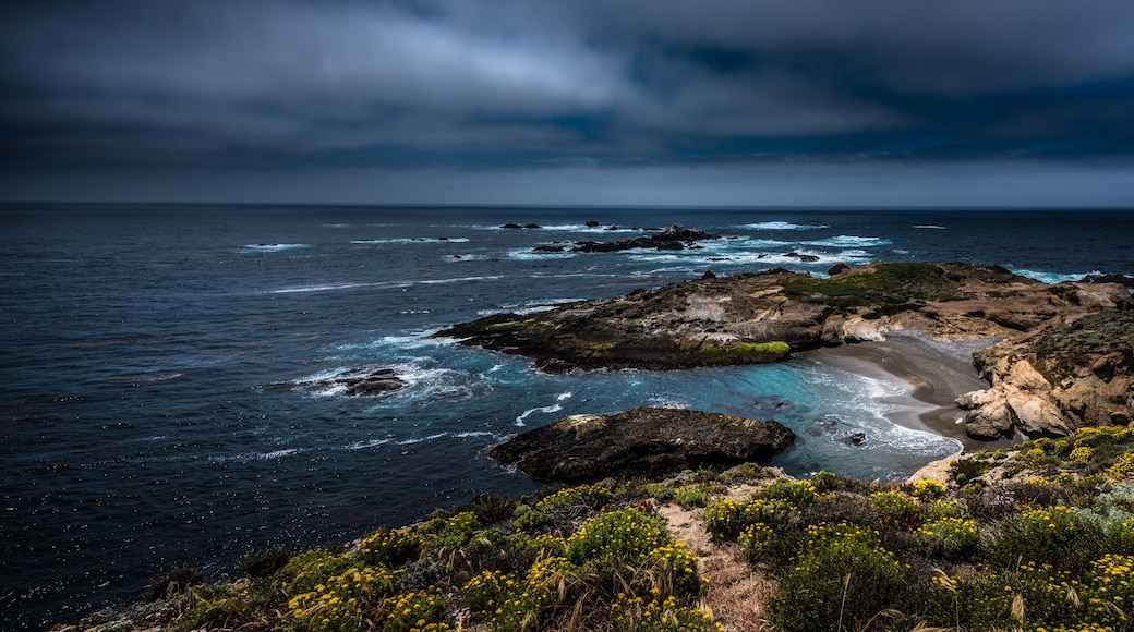 Point Lobos State Park California