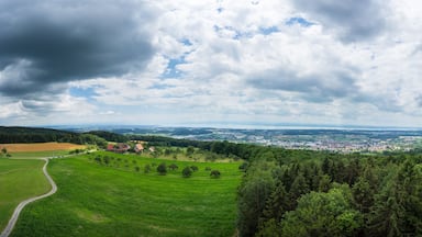 Germany, Scenic panorama of Lake constance recreation area from above