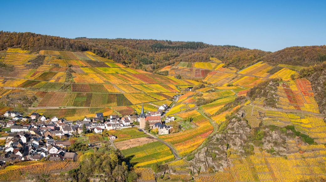 A village nestled in a valley with terraced vineyards and a church with a tall spire.