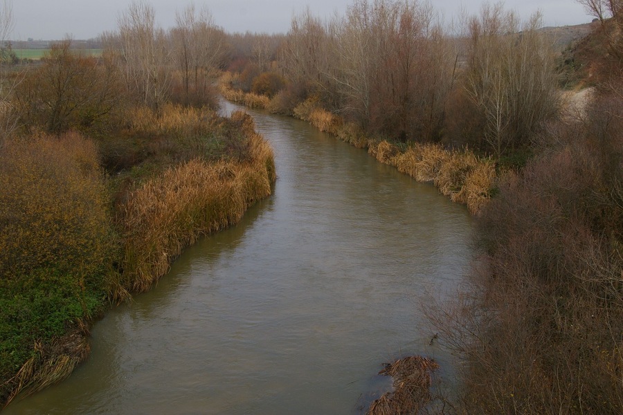 Carranque