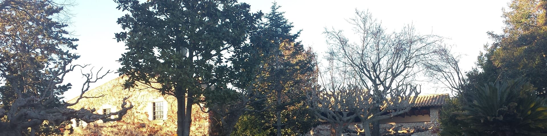 Mas Pau, Avinyonet de Puigventós (desembre 2013)