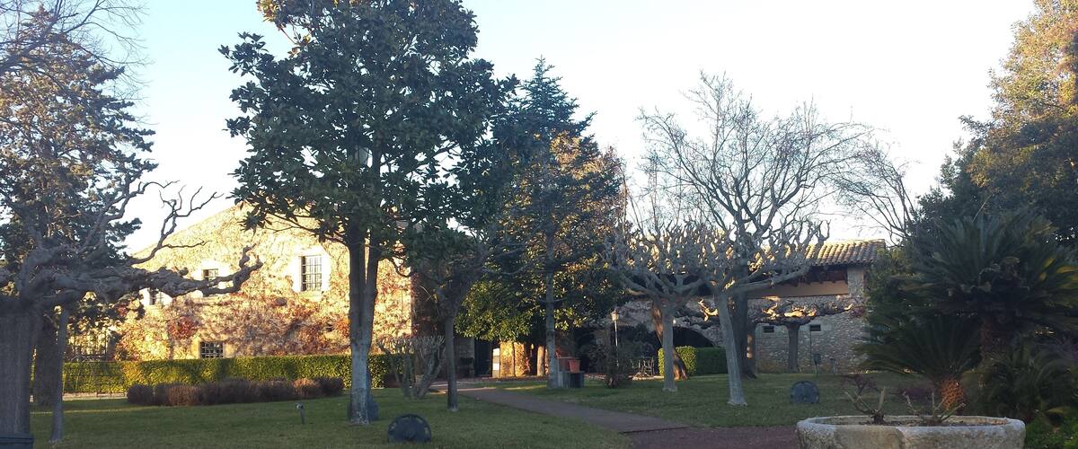 A garden with a stone fountain, a pathway, and trees.