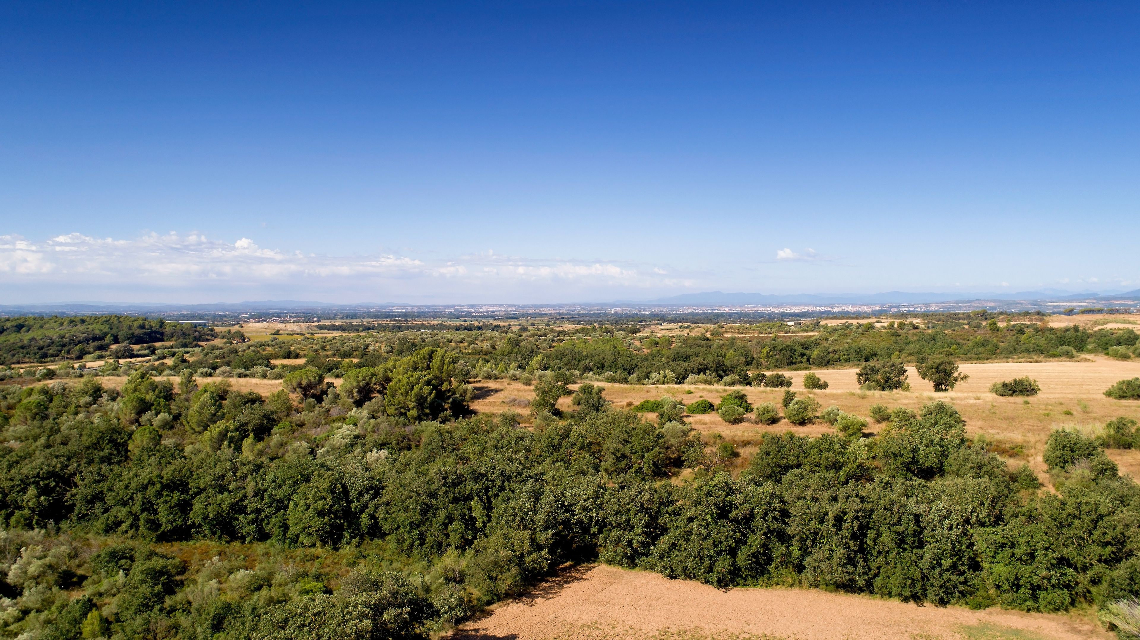 Avinyonet de Puigventos