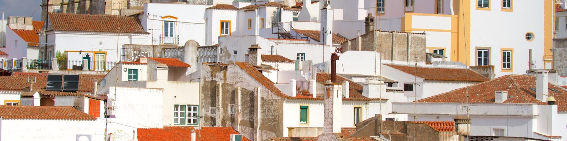 Evora featuring a city