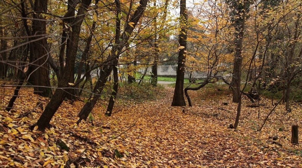 Parco Groane 11/2010