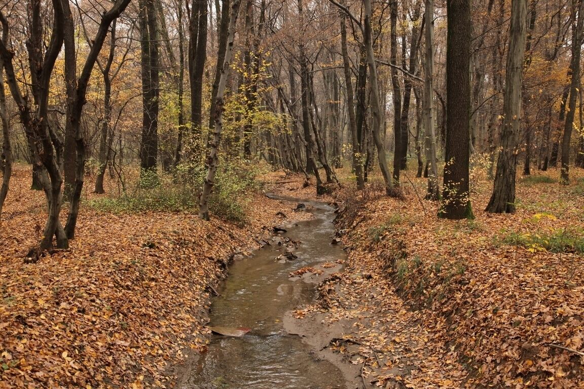 Parco Groane 11/2010