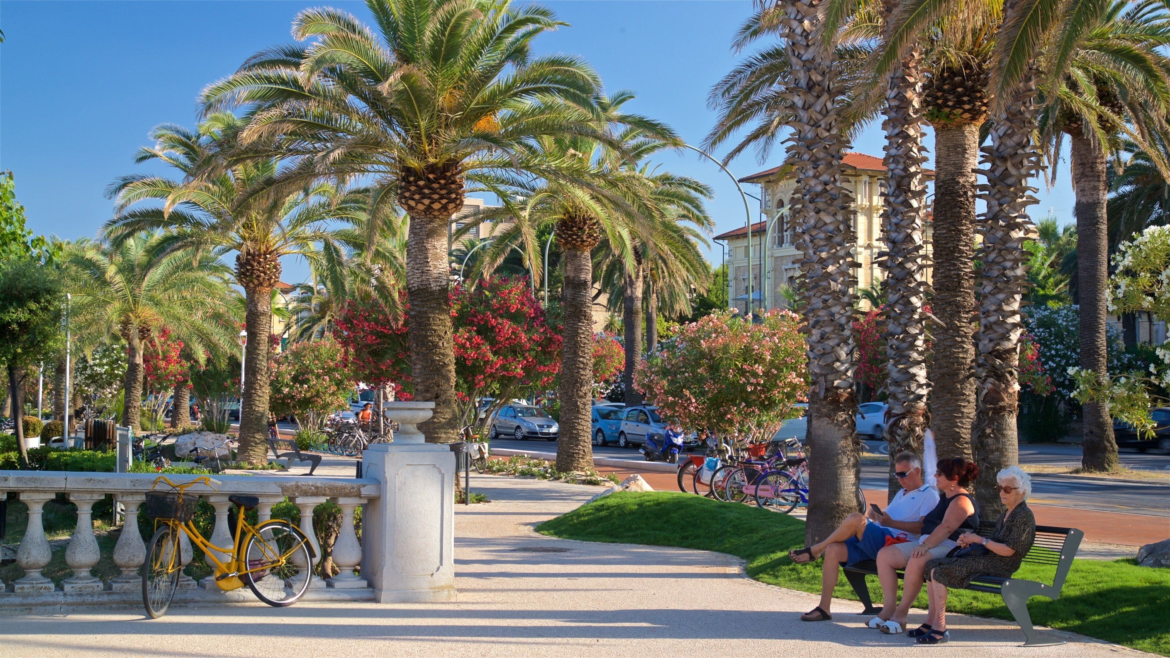 San Benedetto del Tronto toont wilde bloemen en een tuin en ook een klein groepje mensen