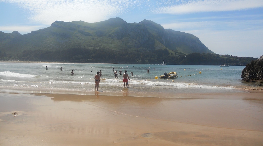 Playa de Arenillas , Cantabria .