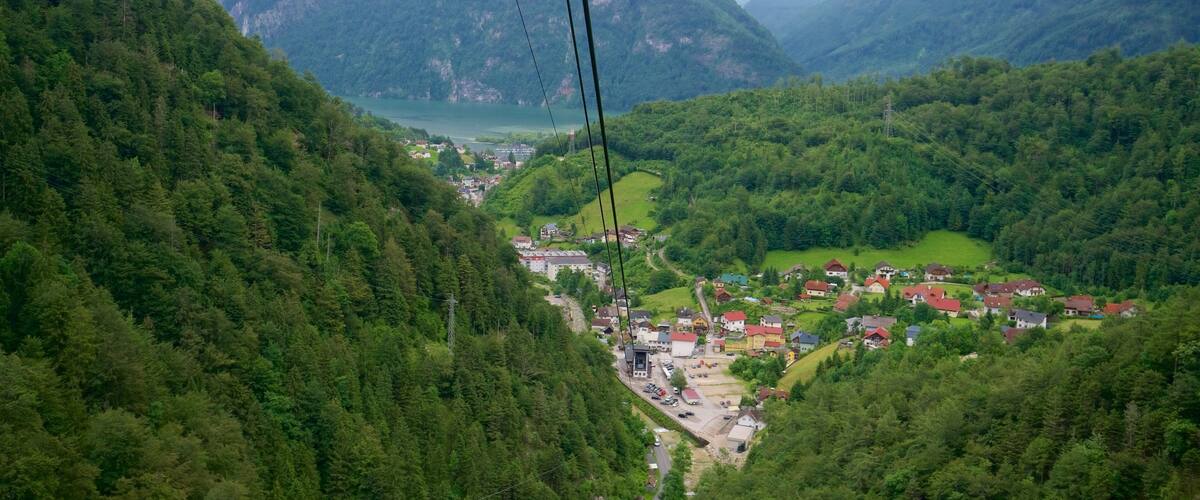 Traunviertel showing landscape views and a small town or village