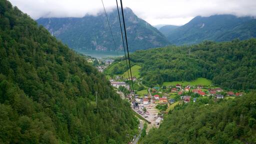 Traunviertel showing landscape views and a small town or village