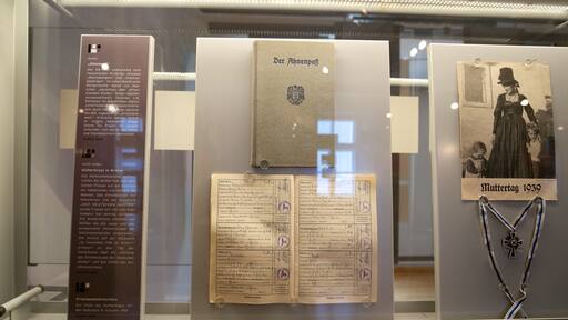 Traunviertel showing interior views and signage