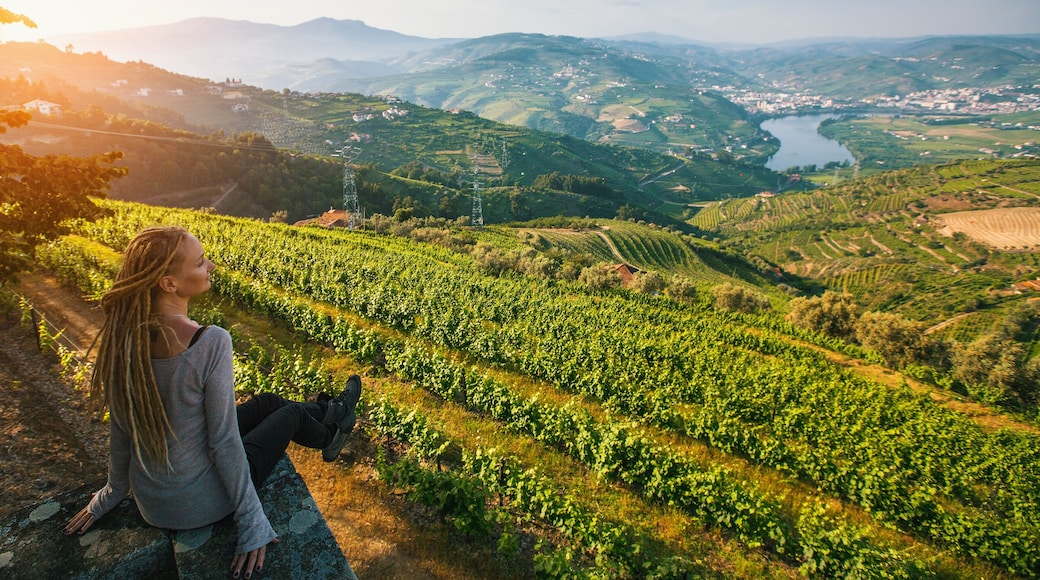 Douro Valley, Portugal. Top view of river, and the vineyards are on a hills..