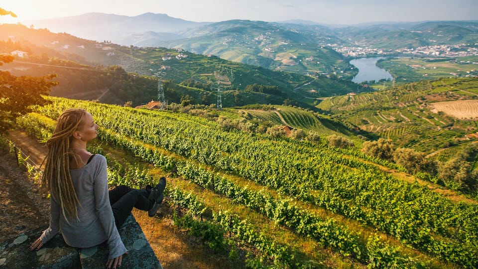 Douro Valley, Portugal. Top view of river, and the vineyards are on a hills..
