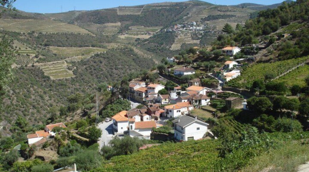 0_b5db6cdf-0957-45d8-821d-1c807c7ead0b_raw