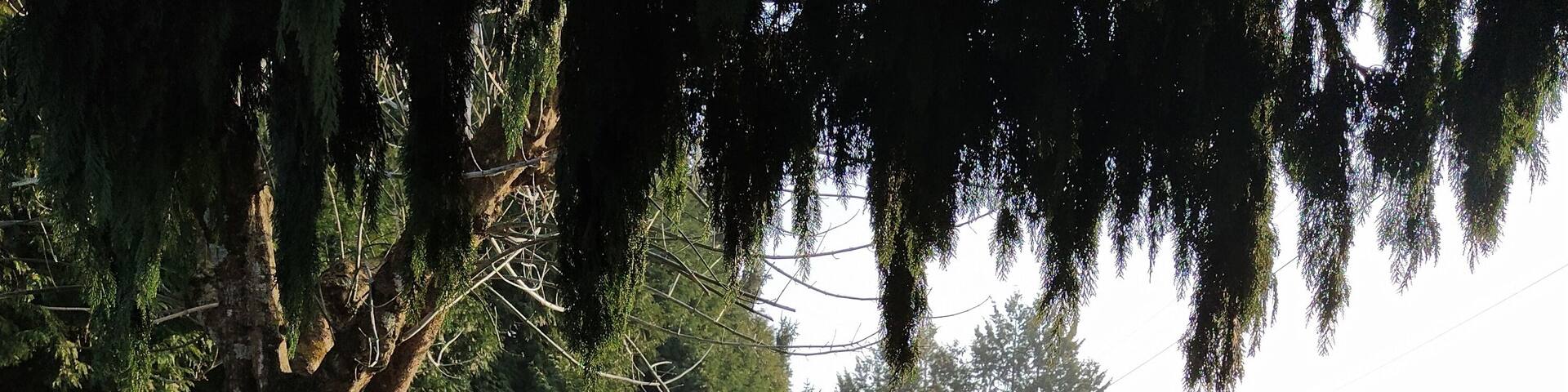 This was the sign, that I am actually living in the countryside within the city 🤫 🐑
#Portugal #animals #sheep #Porto #landscape #countryside