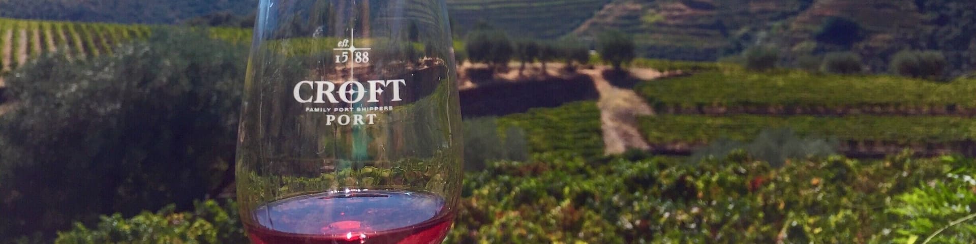 The scenery in the Douro Valley is just spectacular! If visiting, make arrangements for a winery tour at Quinta da Roêda | Croft Port near Pinhão. It will not disappoint! #winetasting #DouroValley #vineyards