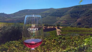 A glass of red wine with the label "CROFT PORT" in a vineyard.