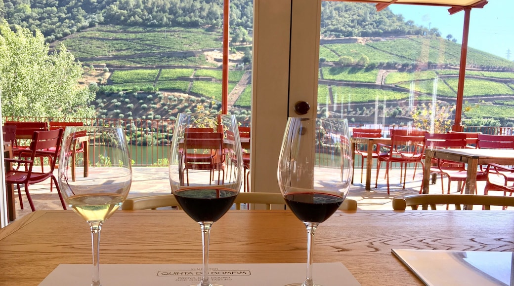 Wine tasting after visiting Quinta do Bonfim - Symington Port House
@ Douro Valley
Portugal