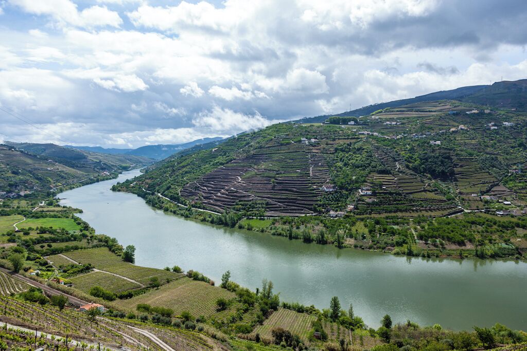 Vista do Rio Douro cercado pelos terraços para cultivo da uva

http://www.phototravel360.com/uma-visita-a-pinhao-e-quinta-do-seixo-douro/