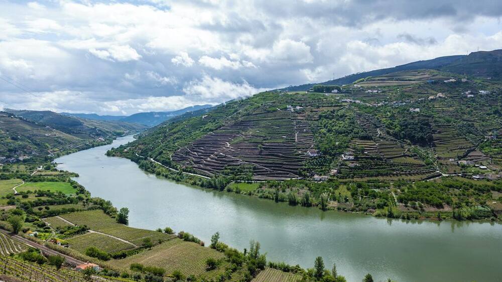 A river winding through terraced vineyards and rolling hills.