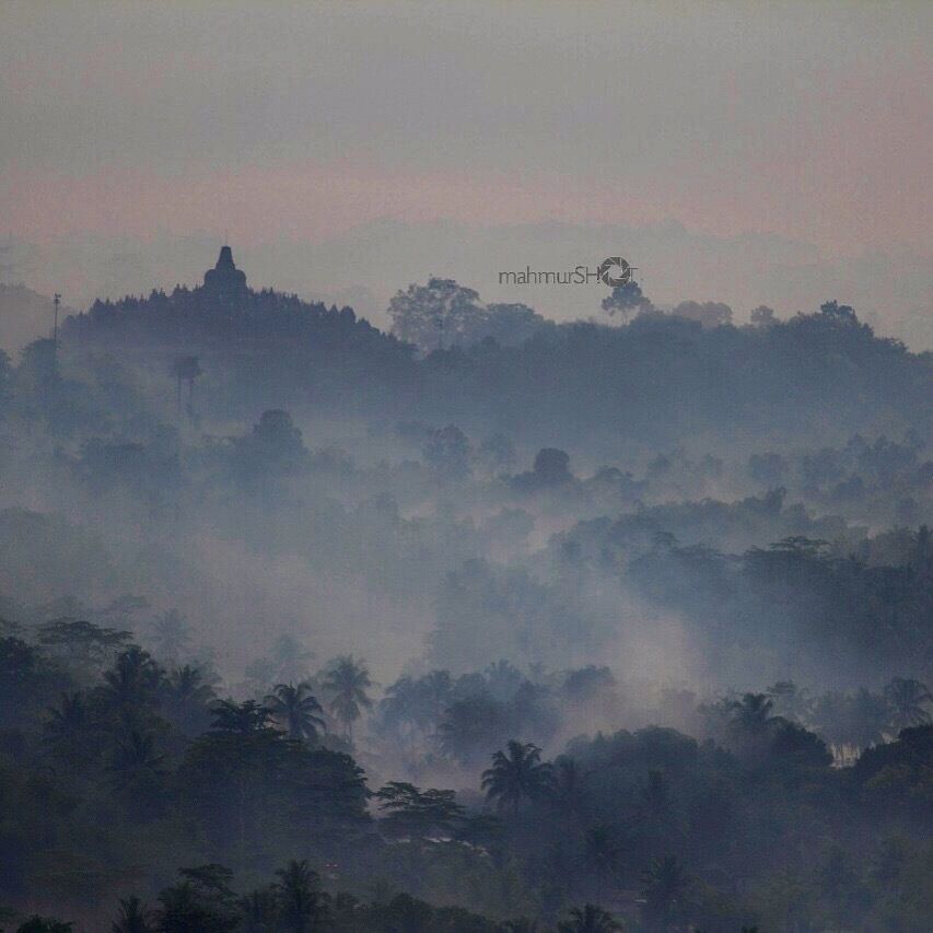 The Great Borobudur in the Morning 