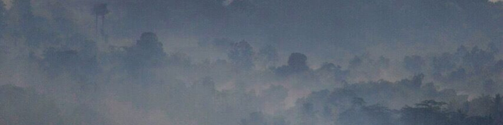 The Great Borobudur in the Morning