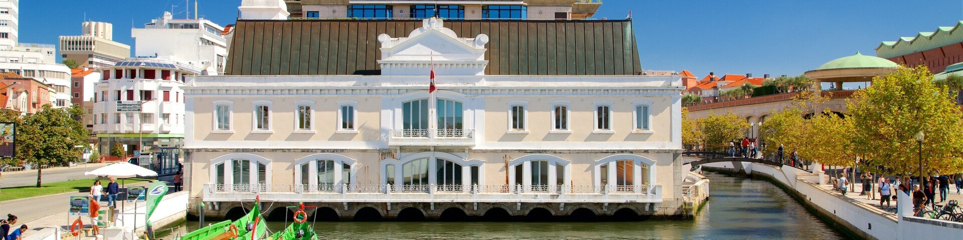Aveiro showing a river or creek