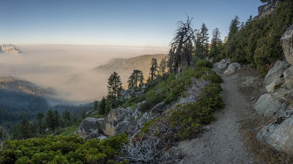 A mountainous landscape with a forested valley, a clear sky, and a rocky path.