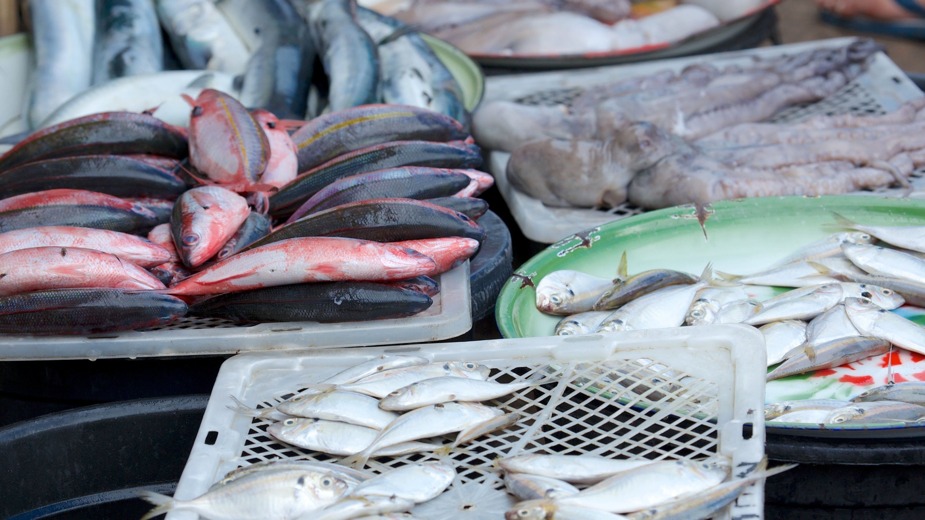 Tanjung ofreciendo mercados