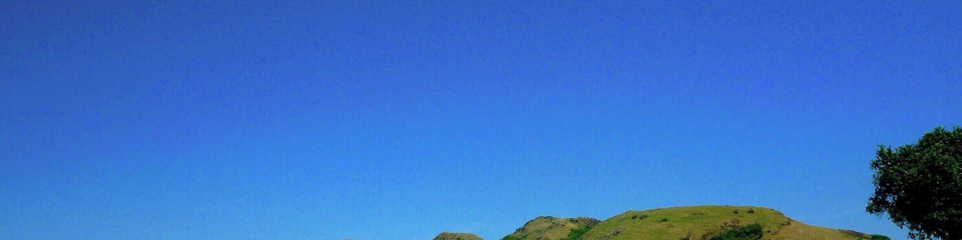 This beach has the whitest sand and bluest waters I’ve ever seen! 
On Sundays it’s ridiculously busy with locals so prepare to feel like a zoo animal as people stare, wave and take photos of you.
You have to pay 5000 rupiah to park your scooter (maybe just a tourists fee…). 
There are lots of bracelet kids and sarong/t-shirt sellers so get your “no thanks” face ready. The beach really is beautiful though.
#indonesia #lombok #kuta #beach