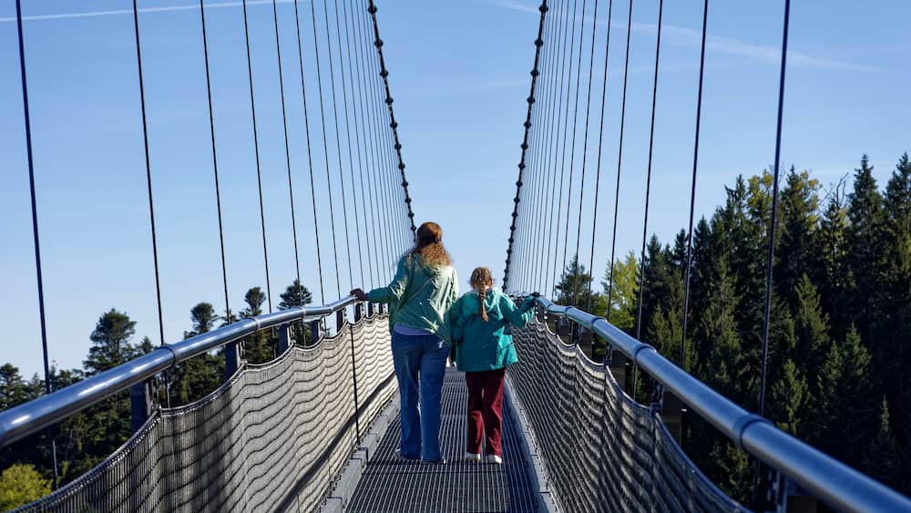 A suspension bridge with metal cables and a metal walkway, surrounded by trees.