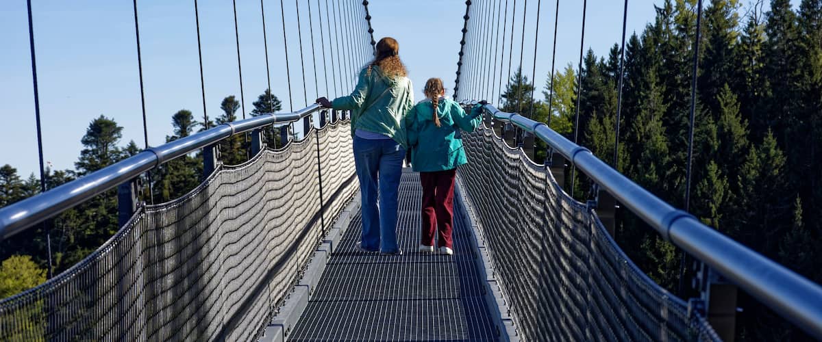 A suspension bridge with metal cables and a metal walkway, surrounded by trees.