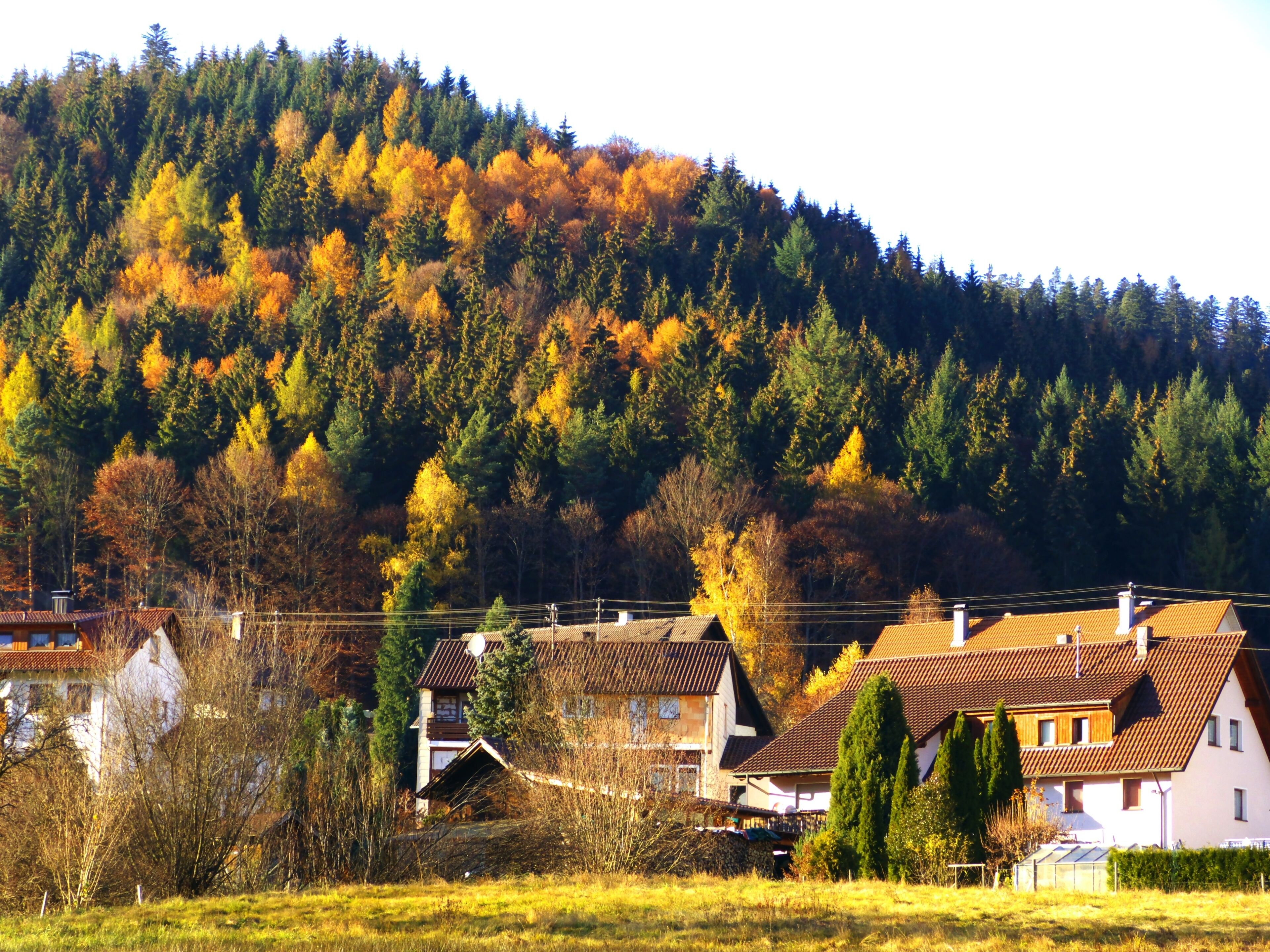 A village with houses and a forested hill in autumn.