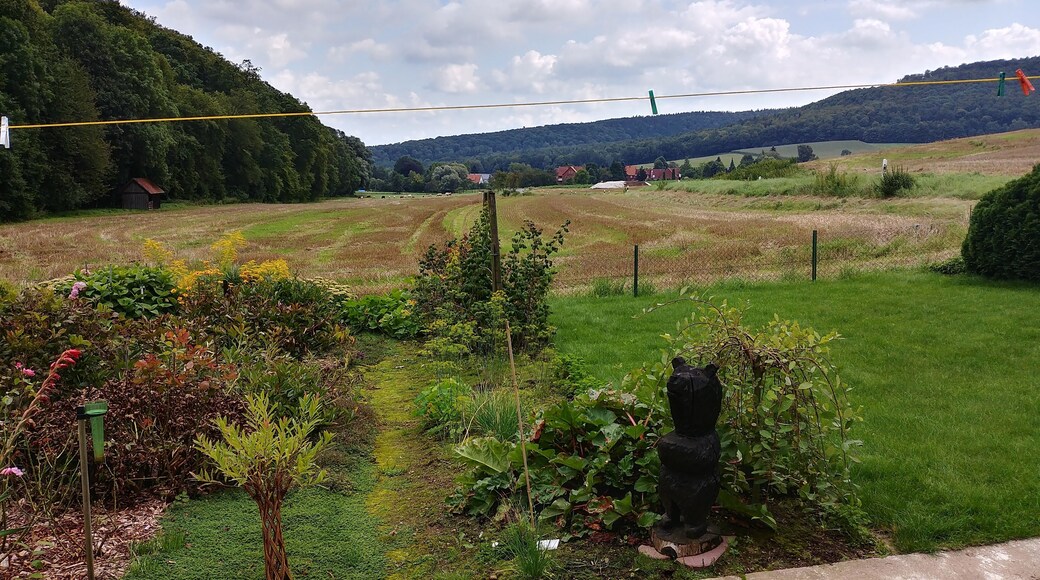 Friedrichsburg mit Blick auf das Unterdorf