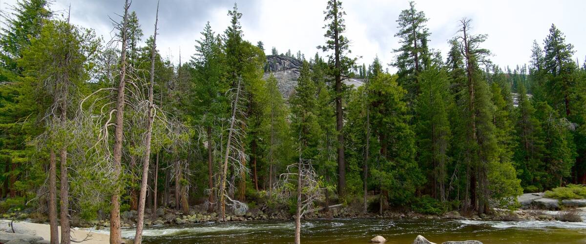 California Central Interior mostrando un río o arroyo y escenas forestales y también una pareja