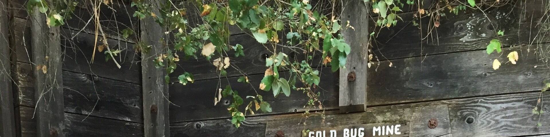 A rusty metal wheelbarrow in front of a wooden building labeled "Gold Bug Mine" with a sign that says "OPEN".