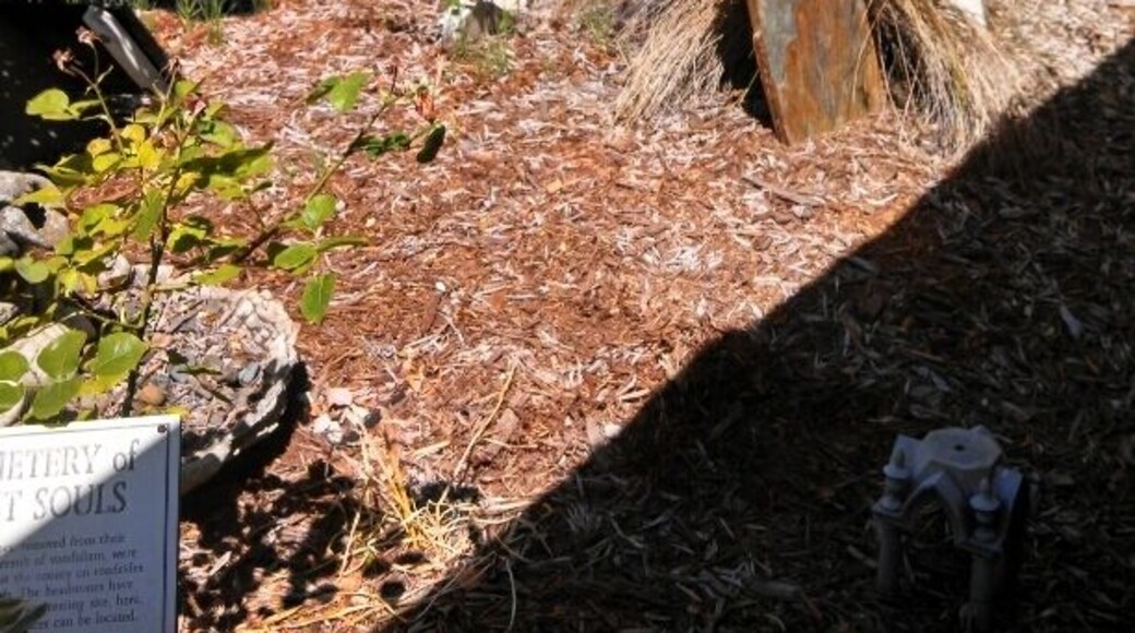 Cemetery of Lost Souls